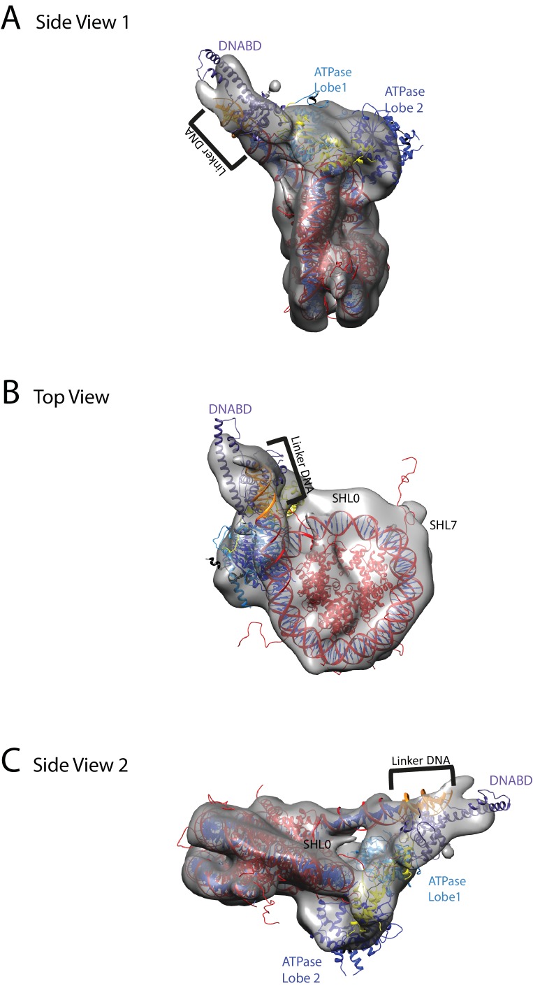 Figure 7.