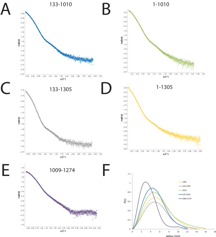 Figure 1—figure supplement 2.