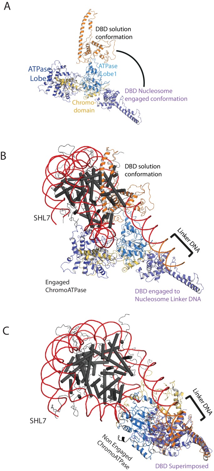 Figure 7—figure supplement 3.