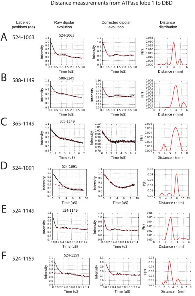 Figure 2—figure supplement 3.