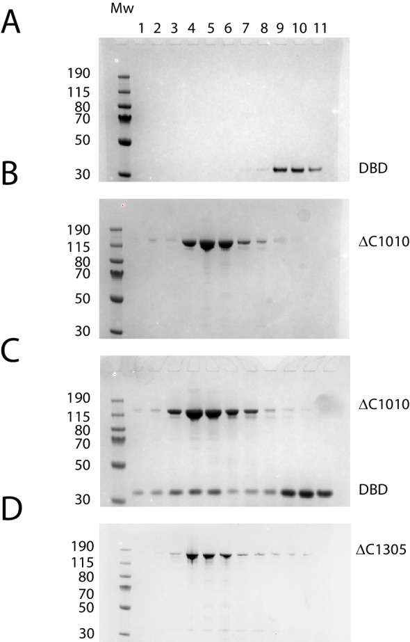 Figure 3—figure supplement 1.