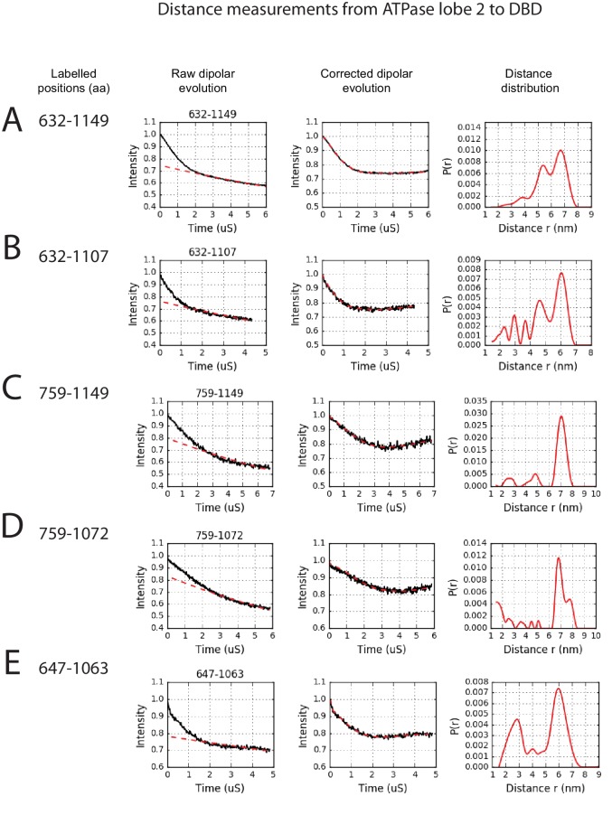 Figure 2—figure supplement 4.