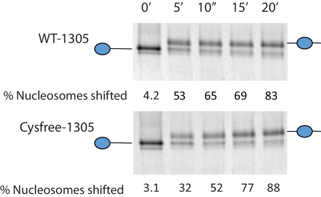 Figure 2—figure supplement 1.