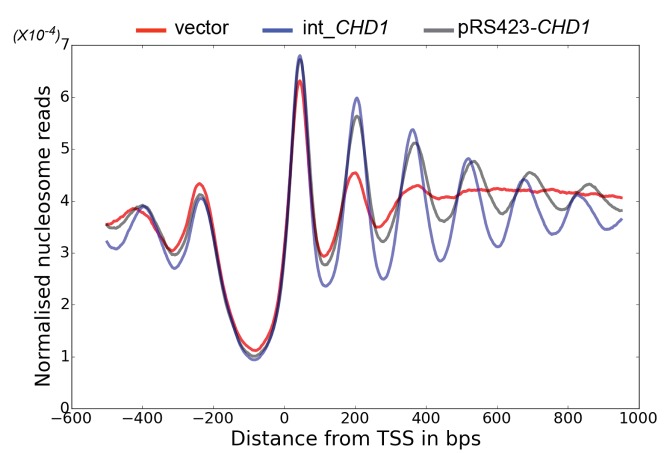 Figure 5—figure supplement 2.