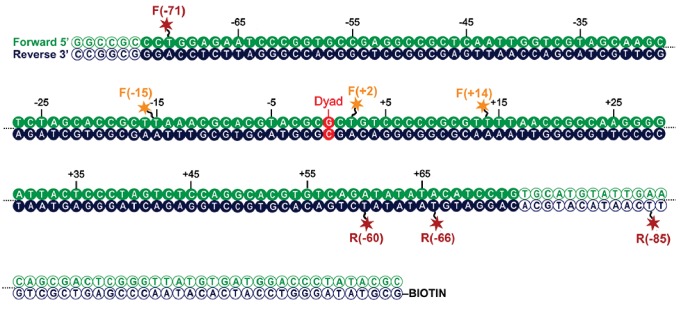 Figure 8—figure supplement 1.