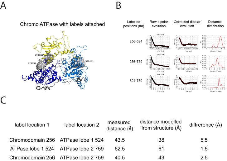 Figure 2—figure supplement 2.