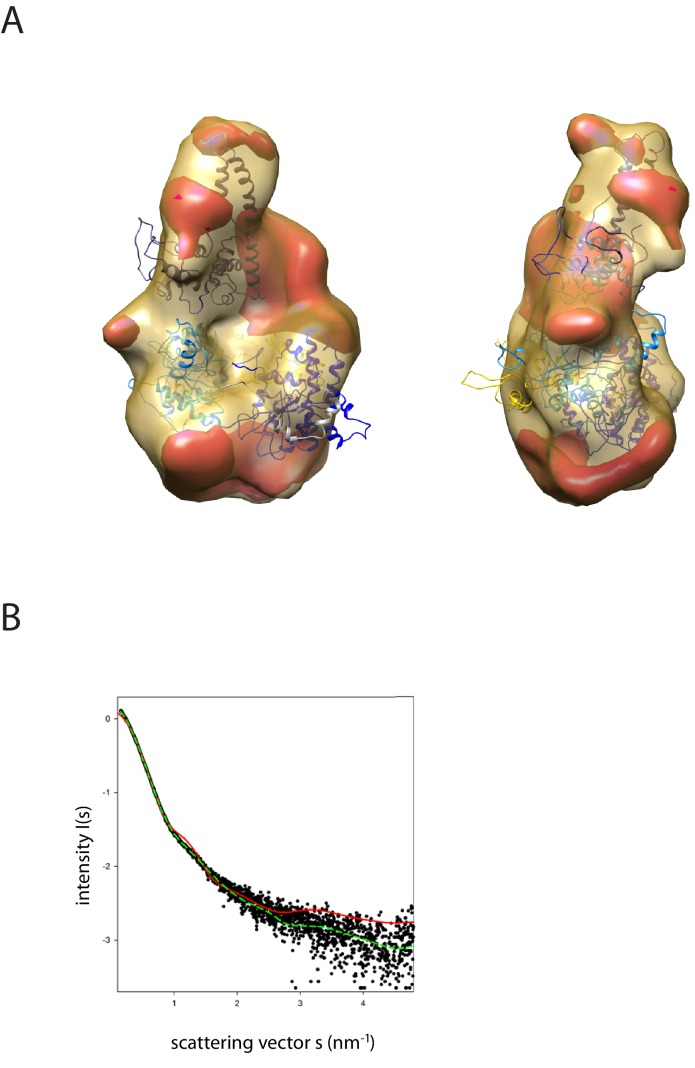 Figure 2—figure supplement 7.