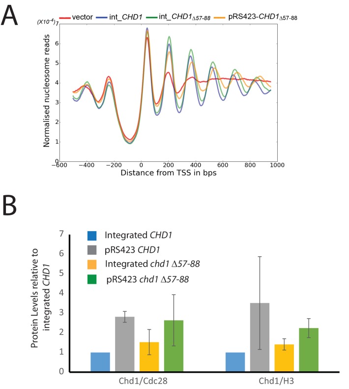 Figure 5—figure supplement 3.