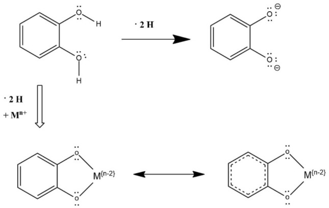 Fig. 3