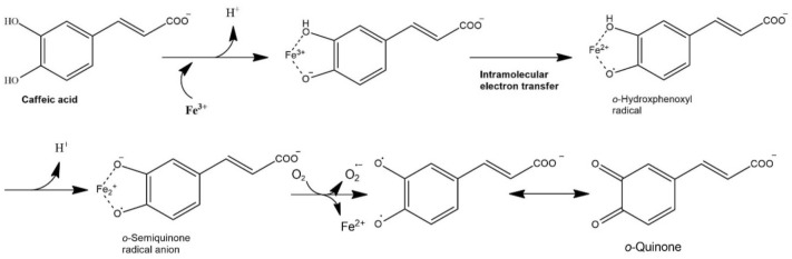 Fig. 6