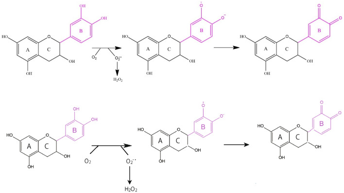 Fig. 5