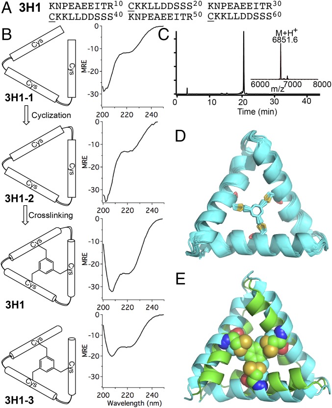 Fig. 5.