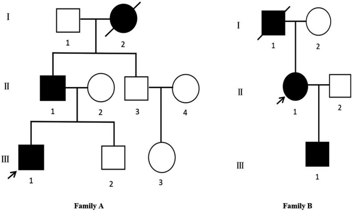 FIGURE 1