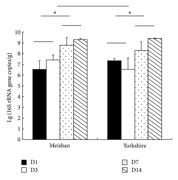 Figure 5