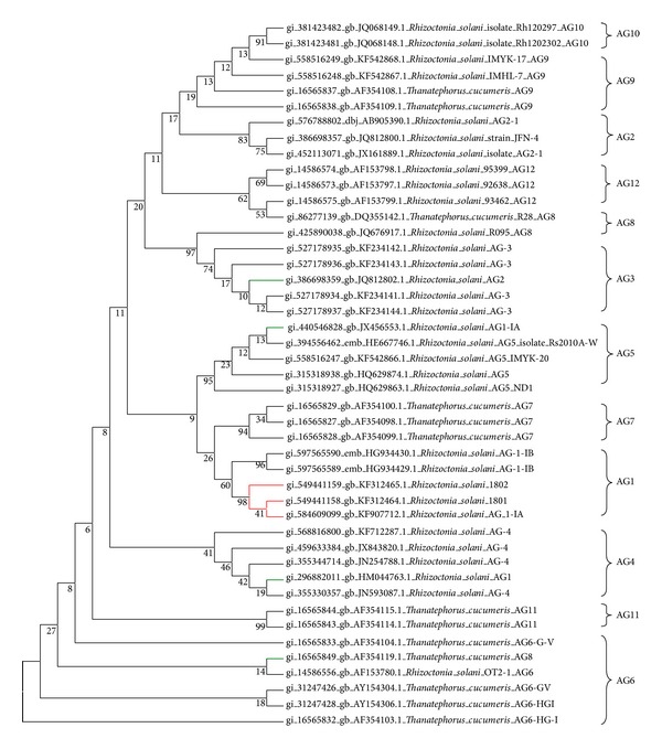 Figure 4