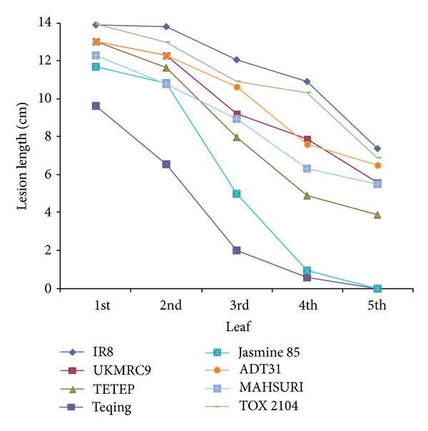 Figure 5