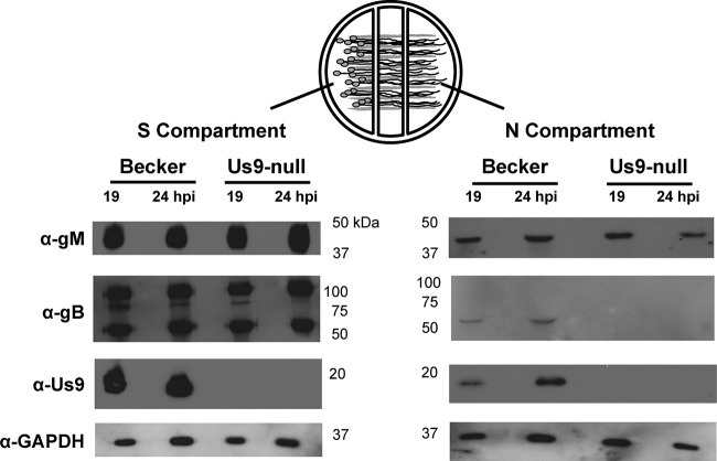 FIG 2