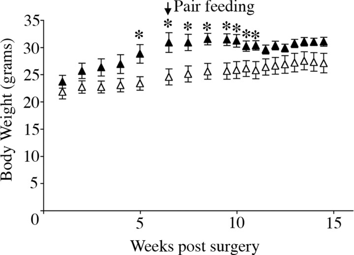 Figure 7.