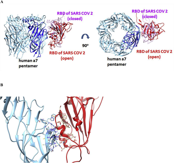 Fig. 7