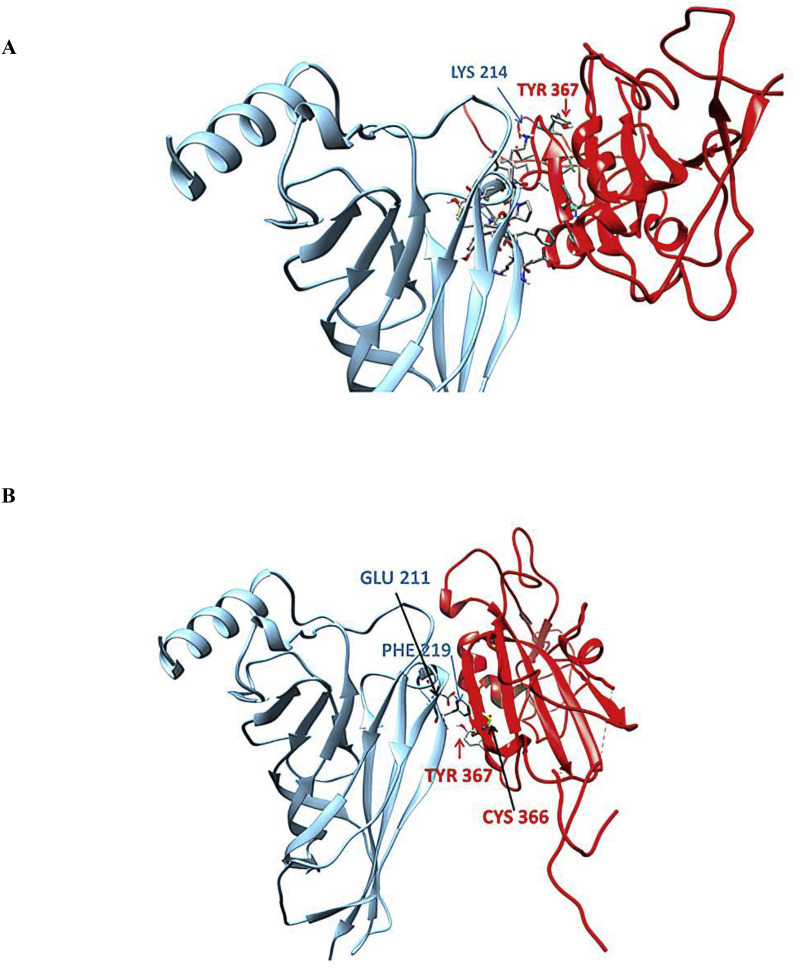 Fig. 8