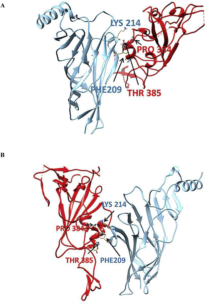 Fig. 9