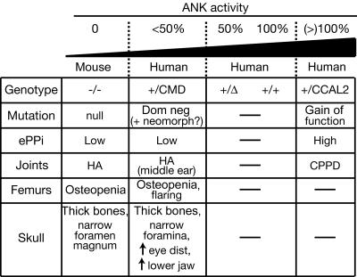 Figure  6. 