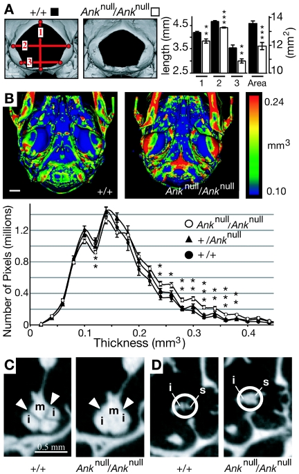 Figure  4. 