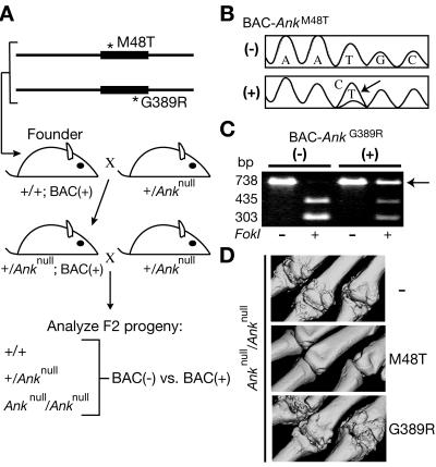 Figure  3. 