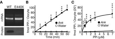 Figure  1. 