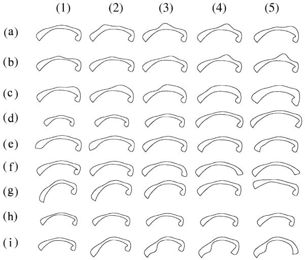 Fig. 8