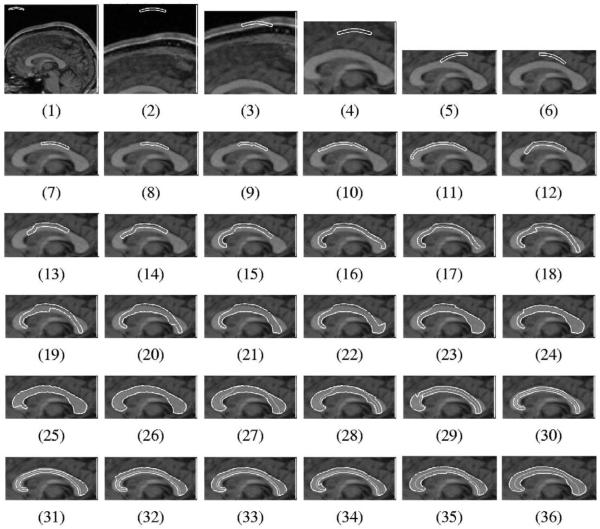 Fig. 9