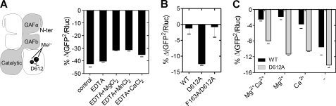 FIGURE 7.