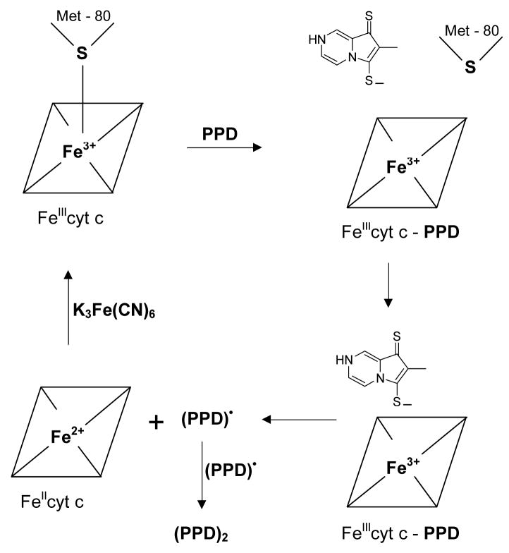 Scheme 3