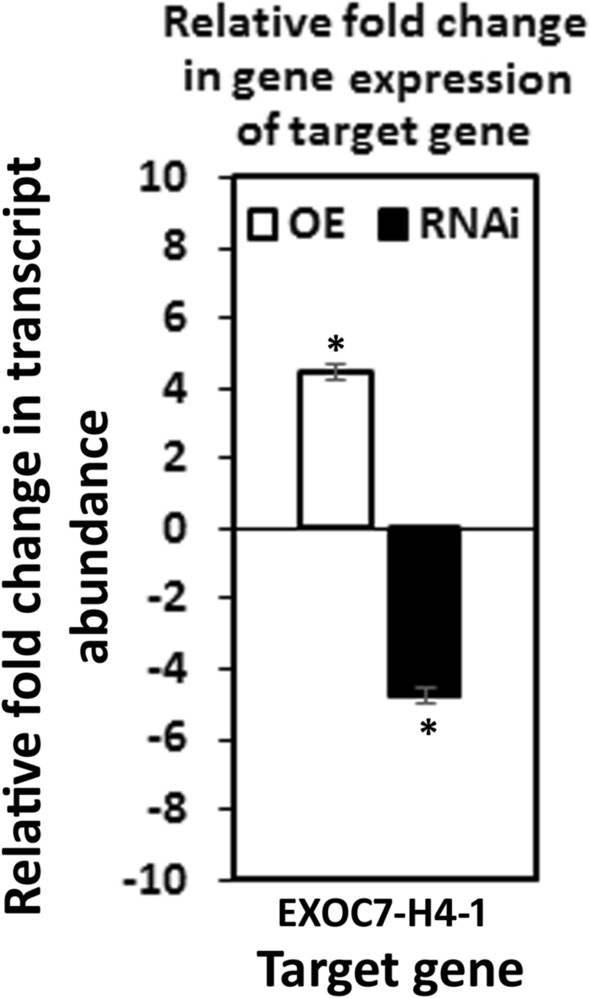 Figure 10