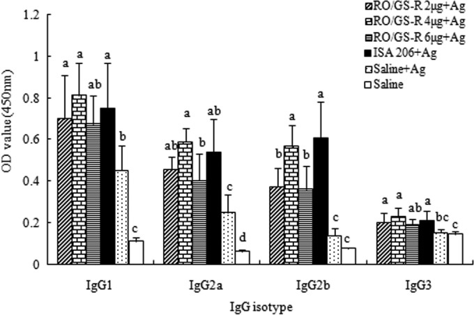 FIG 5