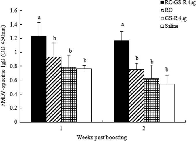 FIG 2