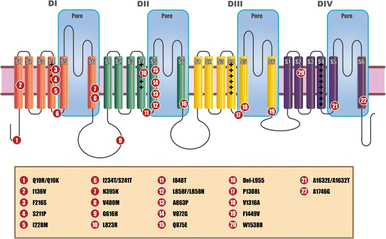 Fig. 1