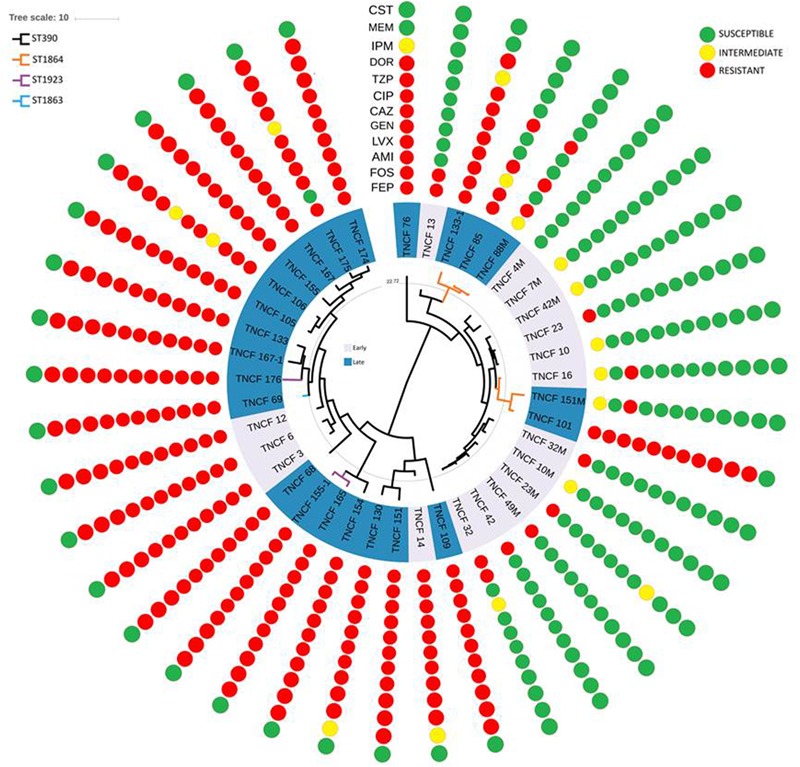 FIGURE 6