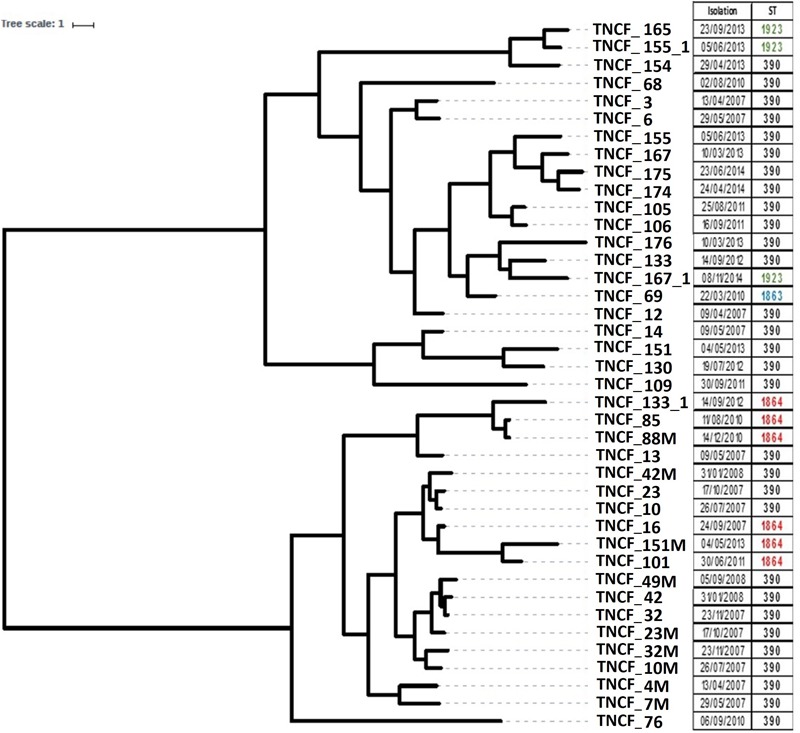 FIGURE 2