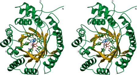 Fig. 2.