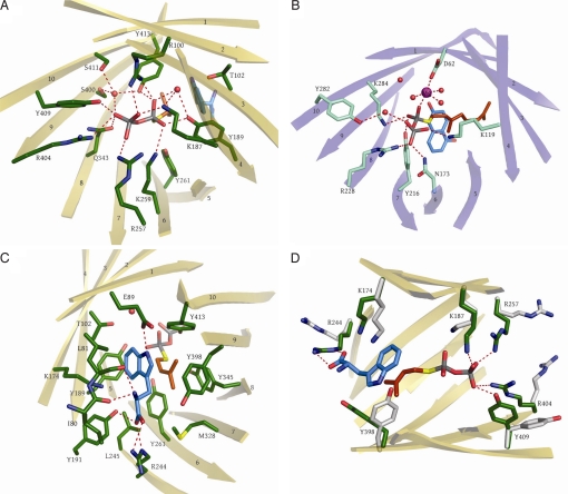 Fig. 3.