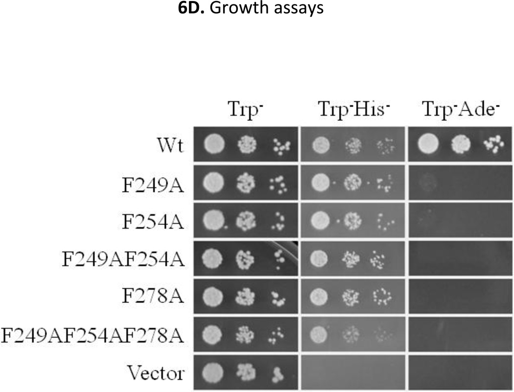 Fig 6