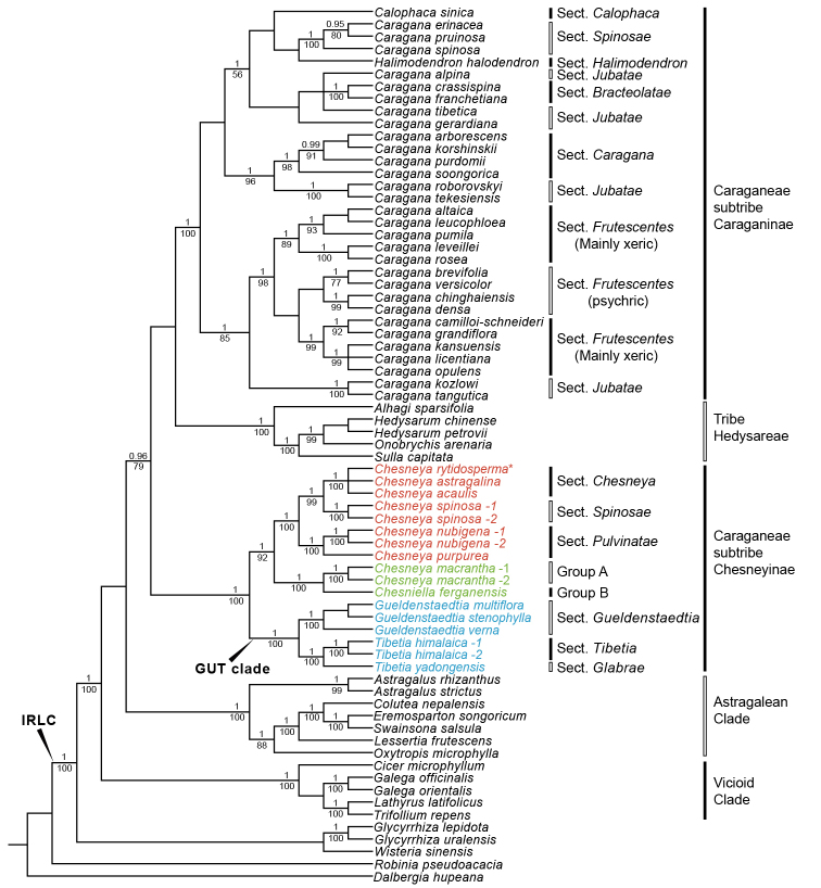 Figure 2.