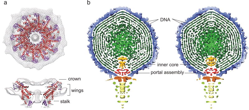 Figure 5