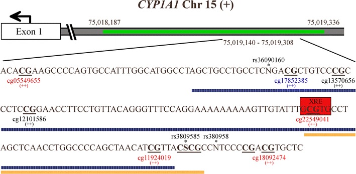 Fig. 4