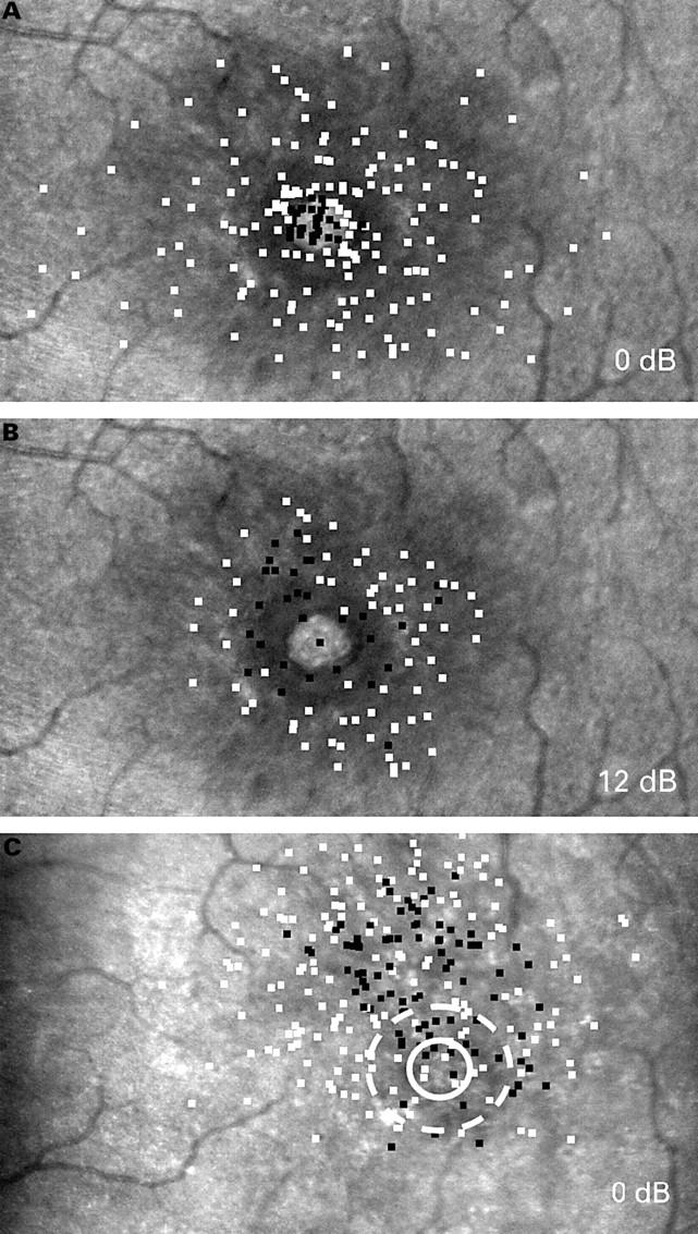 Figure 2  