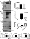 Figure 5