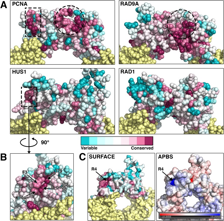 FIGURE 4.