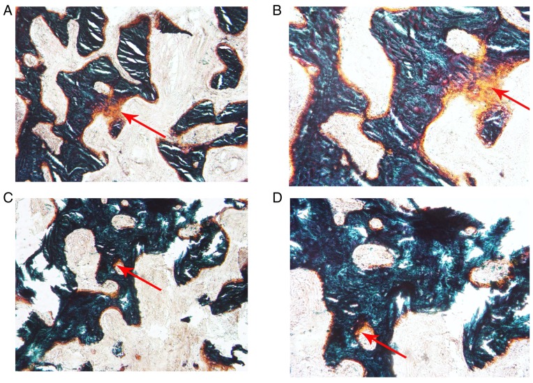 Figure 9.