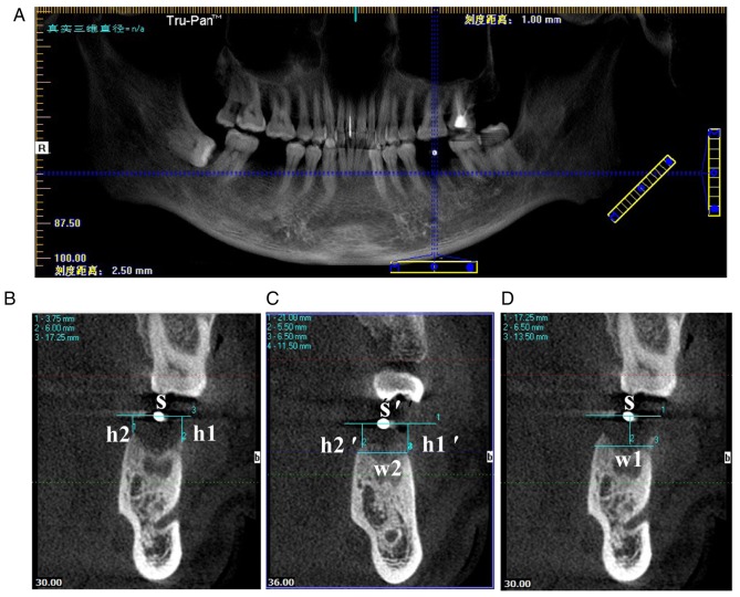 Figure 2.